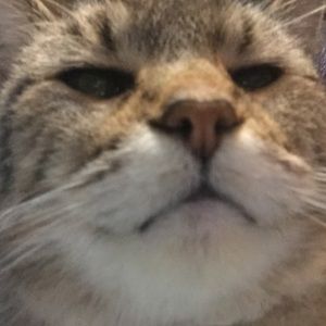 Meet your Posher, Jill